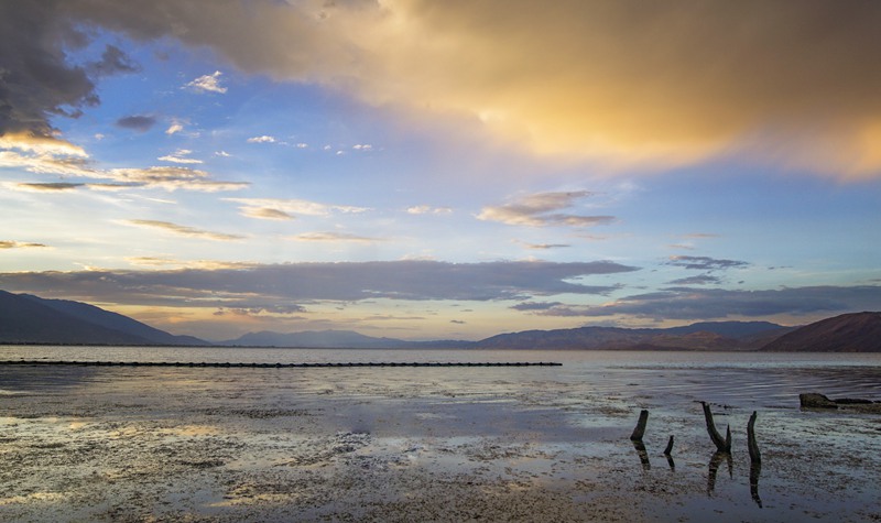 临时保镖服务 临时保镖有车吗？-第3张图片-私人保镖网